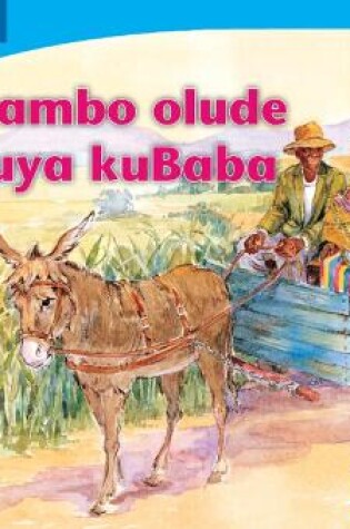 Cover of Uhambo olude oluya kuBaba (IsiZulu)