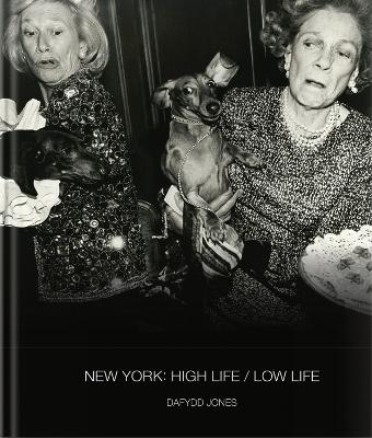 Book cover for New York: High Life / Low Life