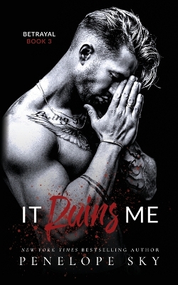 Book cover for It Ruins Me