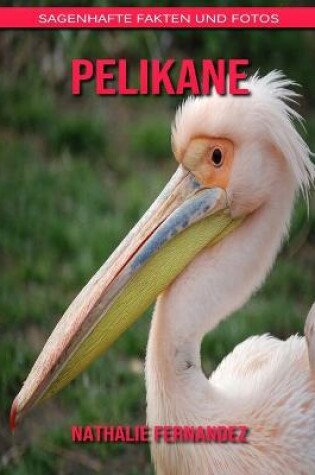 Cover of Pelikane