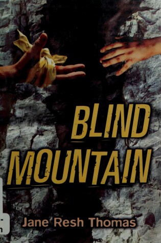 Cover of Blind Mountain