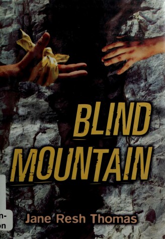 Book cover for Blind Mountain