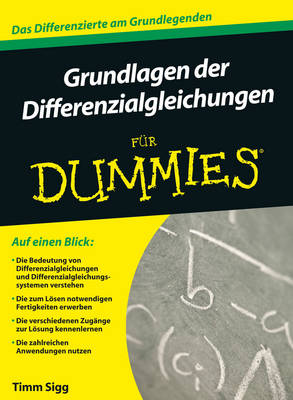 Book cover for Grundlagen der Differentialgleichungen fur Dummies
