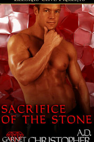 Cover of Sacrifice of the Stone