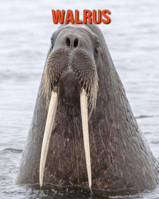 Book cover for Walrus