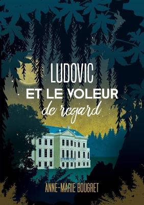 Book cover for Ludovic et le voleur de regard
