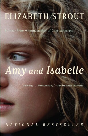 Book cover for Amy and Isabelle