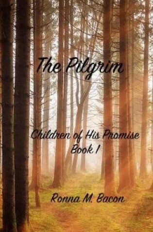 Cover of The Pilgrim