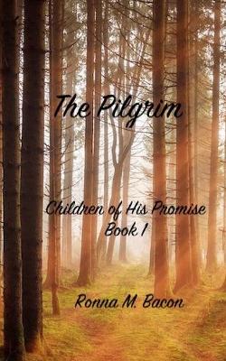 Book cover for The Pilgrim