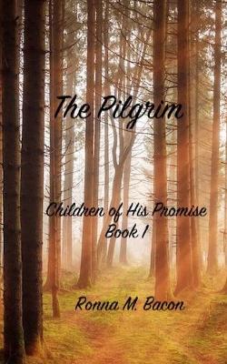 Cover of The Pilgrim