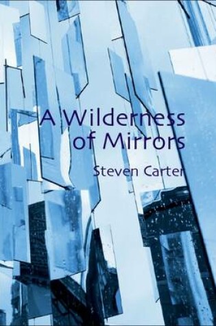 Cover of A Wilderness of Mirrors