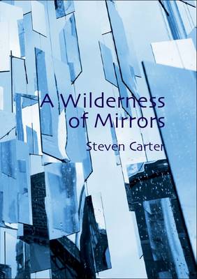 Book cover for A Wilderness of Mirrors