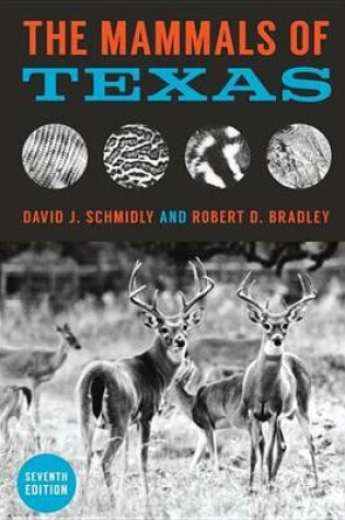 Cover of The Mammals of Texas