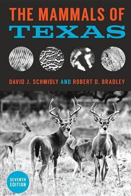 Book cover for The Mammals of Texas