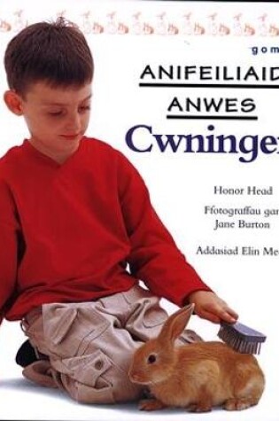 Cover of Cyfres Anifeiliaid Anwes: Cwningen