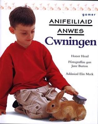 Book cover for Cyfres Anifeiliaid Anwes: Cwningen
