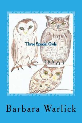 Book cover for Three Special Owls