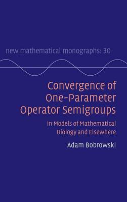 Cover of Convergence of One-Parameter Operator Semigroups