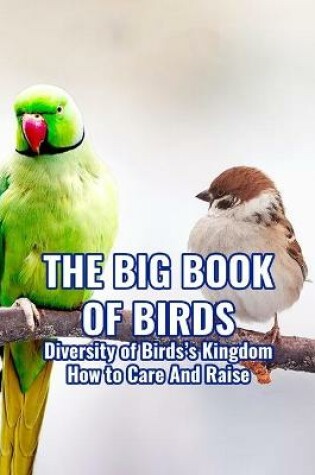 Cover of The Big Book of Birds
