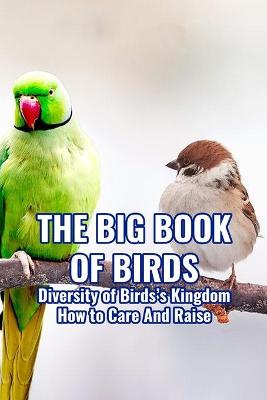 Book cover for The Big Book of Birds