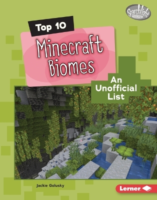 Book cover for Top 10 Minecraft Biomes