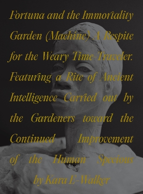 Book cover for Fortuna and the Immortality Garden (Machine)