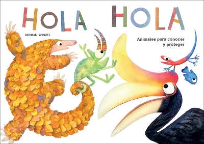 Book cover for Hola hola