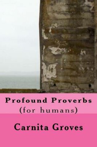 Cover of Profound Proverbs