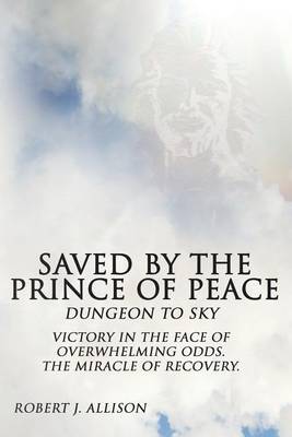 Book cover for Saved By The Prince of Peace -- Dungeon to Sky