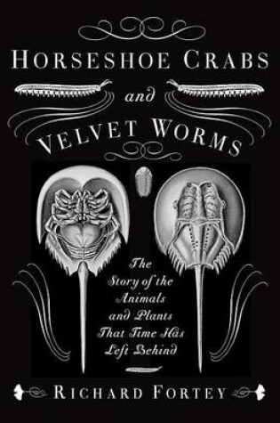 Cover of Horseshoe Crabs and Velvet Worms
