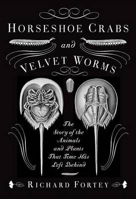 Book cover for Horseshoe Crabs and Velvet Worms