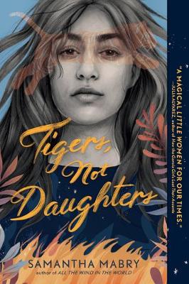 Book cover for Tigers, Not Daughters