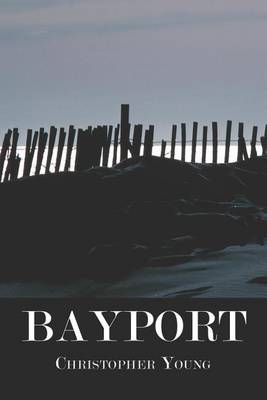 Book cover for Bayport