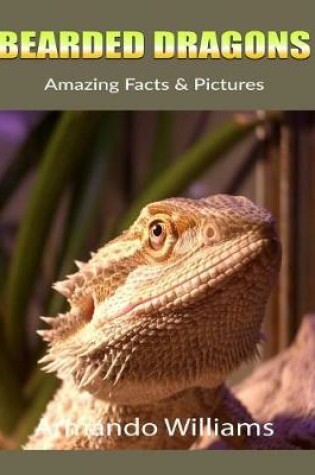 Cover of Bearded Dragons