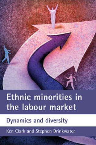 Cover of Ethnic minorities in the labour market