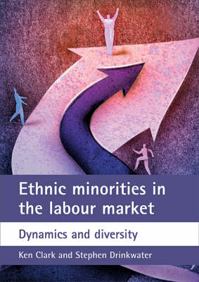 Book cover for Ethnic minorities in the labour market
