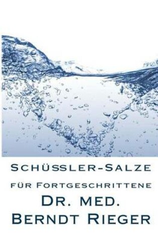 Cover of Schussler-Salze Fur Fortgeschrittene