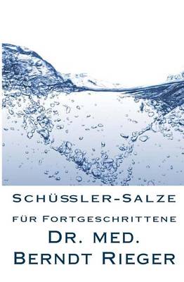 Book cover for Schussler-Salze Fur Fortgeschrittene