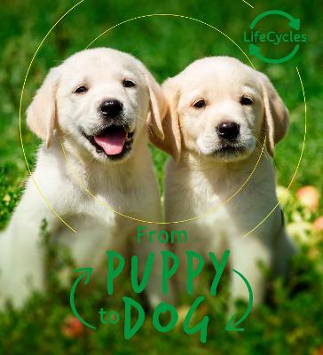 Cover of Lifecycles - Pup To Dog