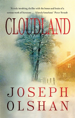 Book cover for Cloudland