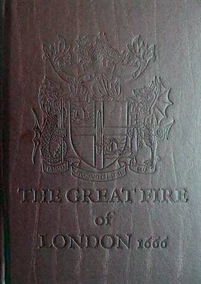 Book cover for The Great Fire of London 1666