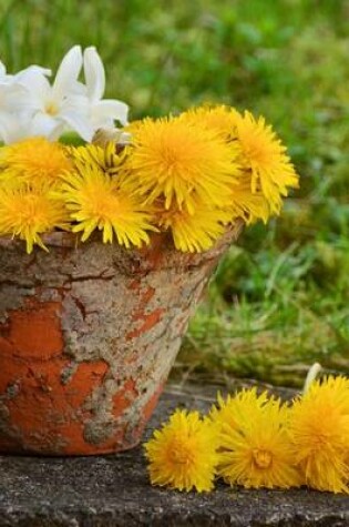 Cover of Yellow and White Flowers in a Terra Cotta Pot