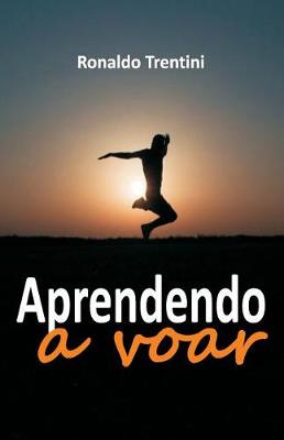 Book cover for Aprendendo a Voar