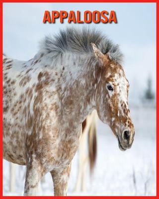 Book cover for Appaloosa