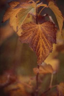 Book cover for Warm Autumn Colors Journal