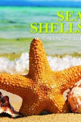 Cover of Sea Shells Calendar 2019