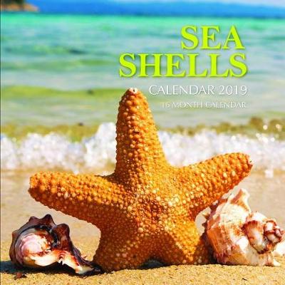 Book cover for Sea Shells Calendar 2019