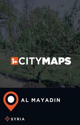 Book cover for City Maps Al Mayadin Syria