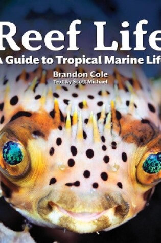 Cover of Reef Life