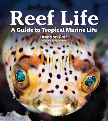 Book cover for Reef Life